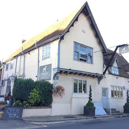 The Dog At Wingham Hotel Exterior foto