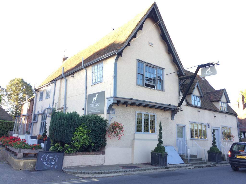 The Dog At Wingham Hotel Exterior foto