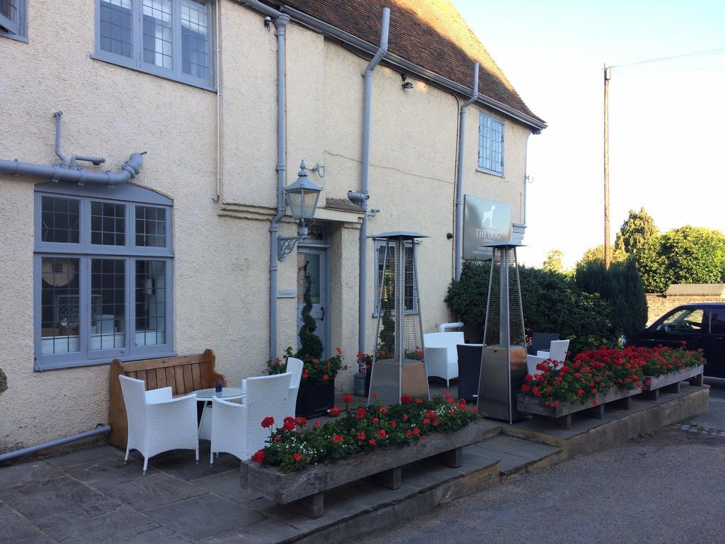 The Dog At Wingham Hotel Exterior foto